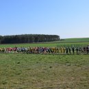 biegikwi 14